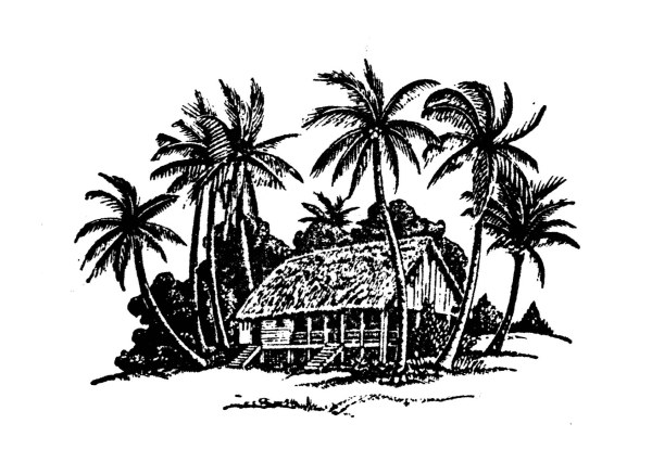 手描きココナッツツリーとハウスベクトル 手描き 手 家 図面 ココナッツ   