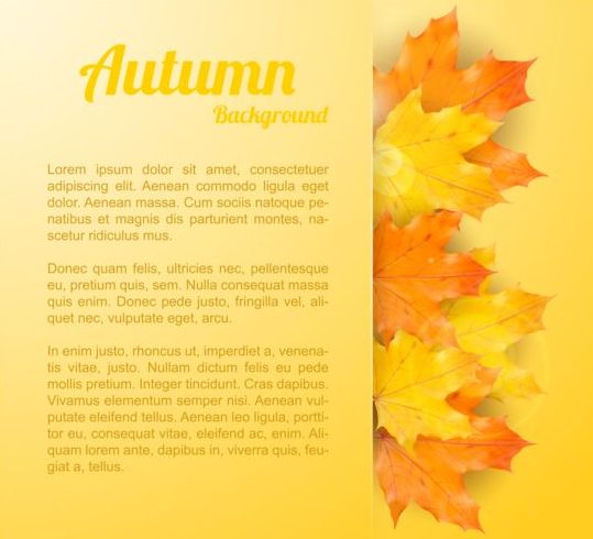秋の背景ベクトル01とカエデの葉 葉 背景 秋 メープル   