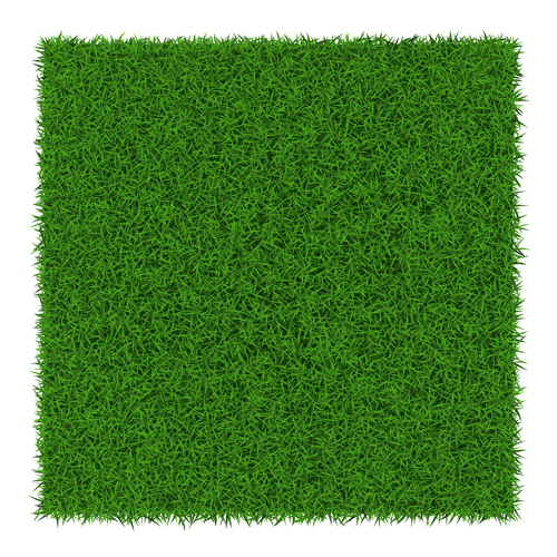 Vecteur rafraîchissant de fond d’herbe verte 02 herbe verte fond actualiser   