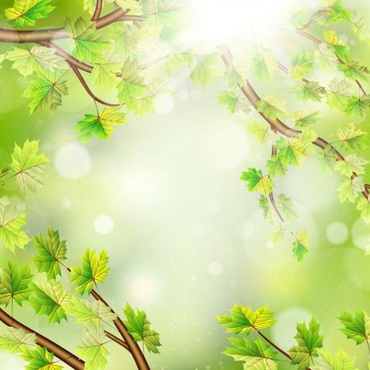 Feuilles vertes d’été avec le vecteur de fond de lumière du soleil 11 vert lumière du soleil fond feuilles été   
