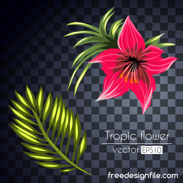 Vektor tropische Blüten Illustration Vektor 01 tropisch Blumen   