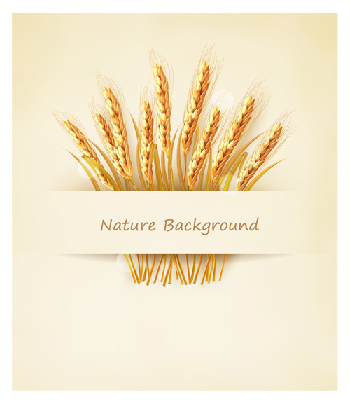 クラシックゴールド小麦背景ベクトル材料03 背景ベクトル 背景 素材 ベクター素材 ゴールド クラシック   