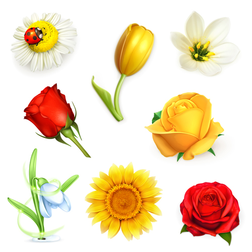 異なる花デザインベクトル材料 花 異なる 材料   