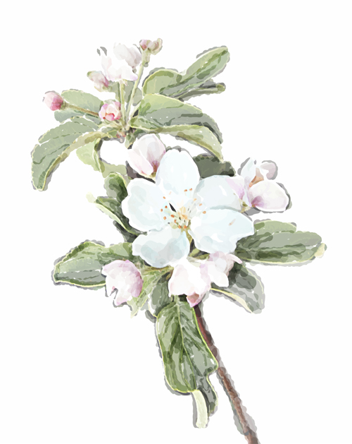 描かれた水彩花アート背景ベクトルセット02 花 背景ベクトル 背景 水彩 描画   