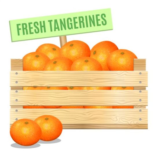 Frische Tangerines-Plakatvektor Mandarinen Frisch   