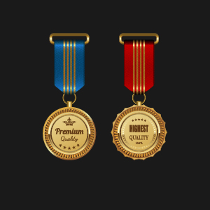 Wunderschöner Medaillenvergabe-Vektor 05 Medaille herrlich award   