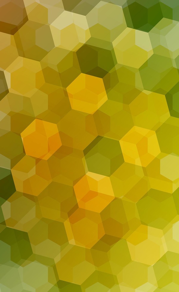 Orange avec vert hexagone fonds vecteur 02 vert orange hexagone   