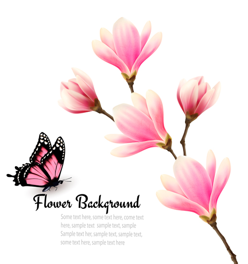 ピンクマグノリアの花の背景ベクトル03 花 背景 マグノリア ピンク   
