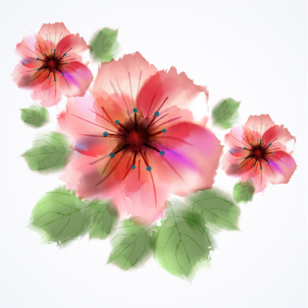 Vecteur dessiné à la main de fleur rose aquarelle rose fleur aquarelle   