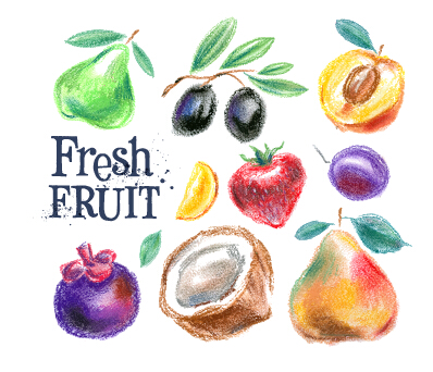 Fruits dessinés colorés vecteurs matériel 04 fruits dessiné coloré   