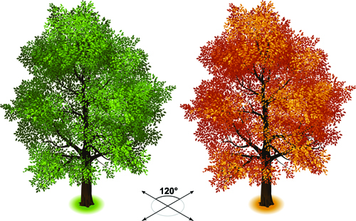 Kreative isometrische Bäume entwerfen Vektor 04 Kreativ isometrisch Bäume   