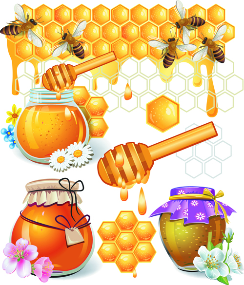 Éléments de conception de vecteur d’abeille de miel miel éléments de conception elements abeille   