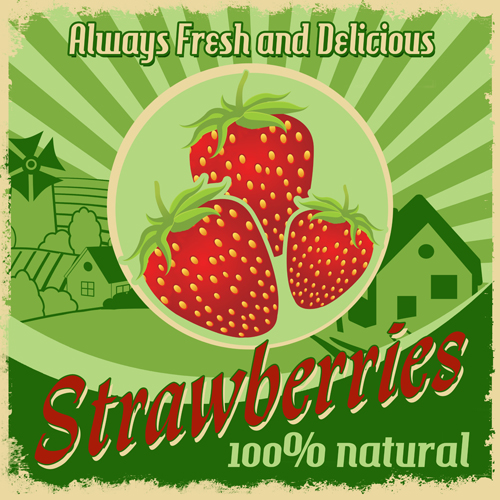 Vintage styles fraises affiche vecteur matériel styles style vintage fraises affiche   