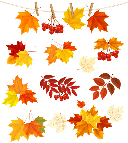 Feuilles d’automne avec le matériel de vecteur de fruit 02 matériau vectoriel fruits feuilles d’automne congé automne   