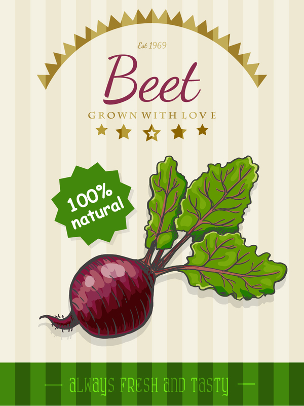 Beet Plakatvektor poster Beet   