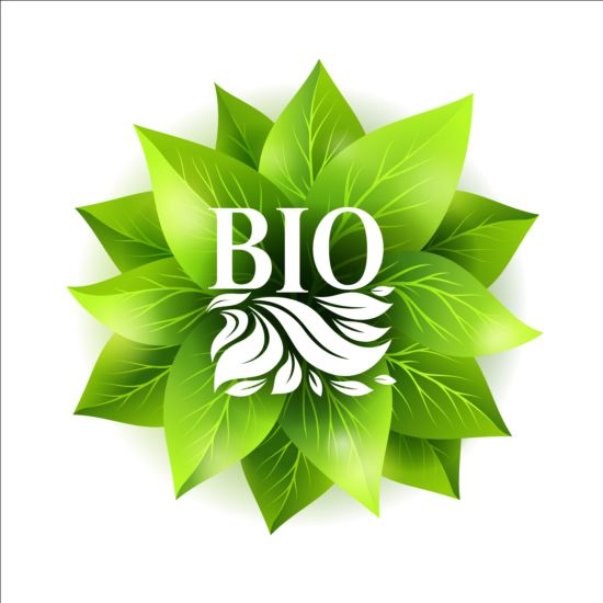Bio-grün lässt Vektormaterial 04 grün Blätter bio   