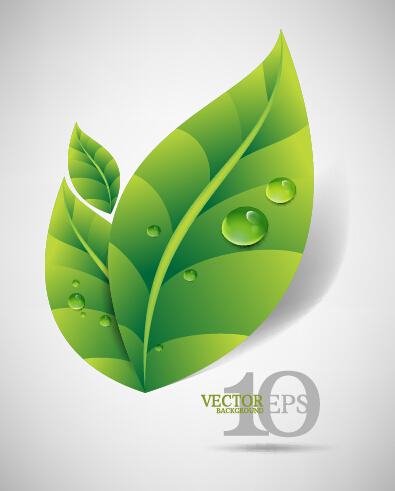 Leuchtend grün lässt Hintergründe Vektorgrafik 04 Hintergründe Hintergrund grüne Blätter Blätter Hintergrund   
