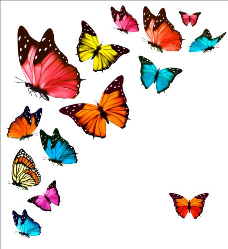 Papillons colorés illustration vecteur collection 10 papillons illustration coloré collection   