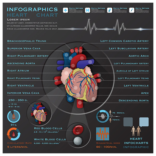 Coeur infographies Design vecteur matériel matériel vectoriel infographies infographie coeur   