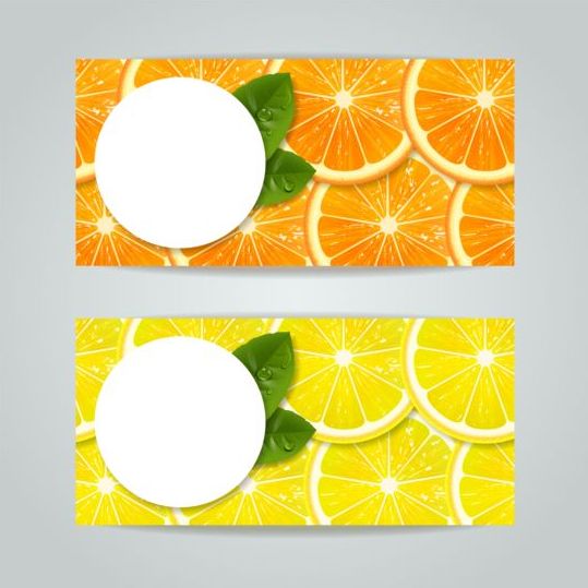 Oranges avec la bannière de vecteur de tranche de citron tranche oranges Citron Bannière   