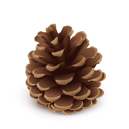 Matériau vectoriel de cône de pin realistlic Realistlic pin matériel cone   