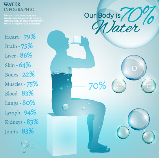 L’eau dans le vecteur infographique du corps humain 06 infographie humain eau corps   