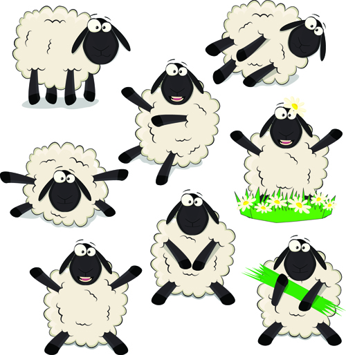 Amüsante schwarze Schafe Vektor Schafe Amusant   