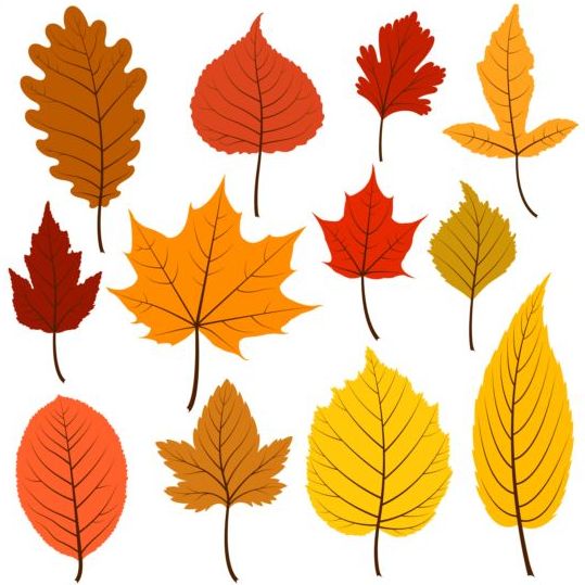 Feuilles d’automne dans les couleurs chaudes vecteur feuilles couleurs chaud automne   