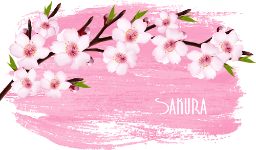 Beaux graphiques de fond de vecteur de Sakura 03 sakura fond vectoriel Belle   