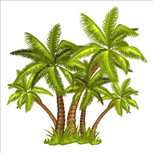 Palmbaumblaumvektor Palme illustration Baum   