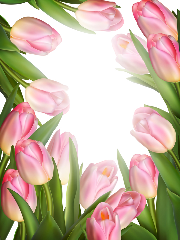 Tissu de vecteur de trame de tulipes roses tulipes rose cadre   