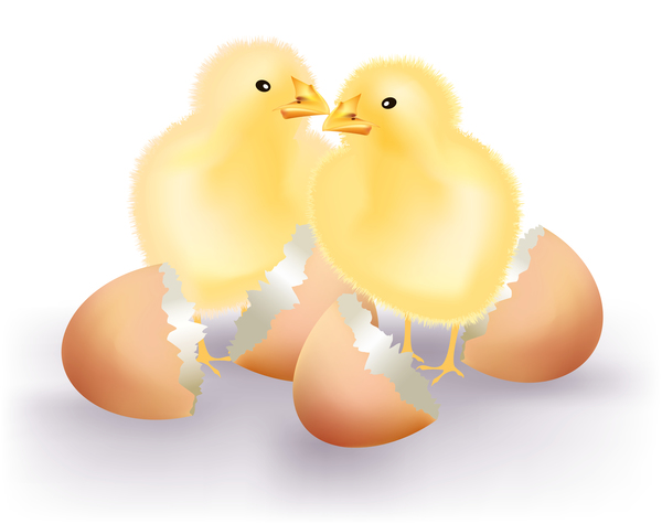 Kaputte Eier und Cartoon-Hühner Vektor 04 Hühner Eier cartoon broken   