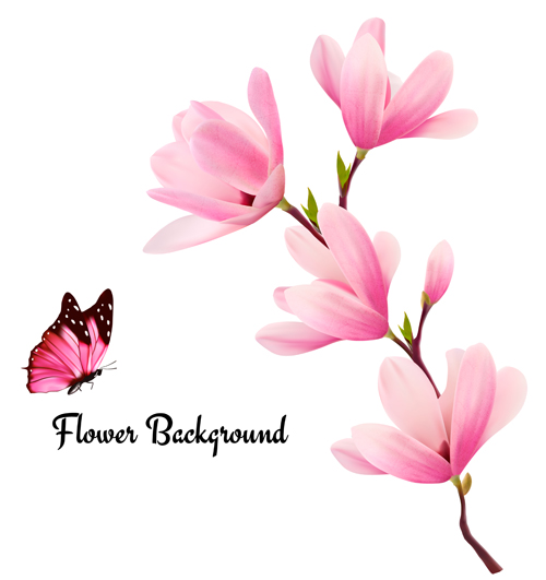ピンクマグノリアの花の背景ベクトル02 花 背景 マグノリア ピンク   