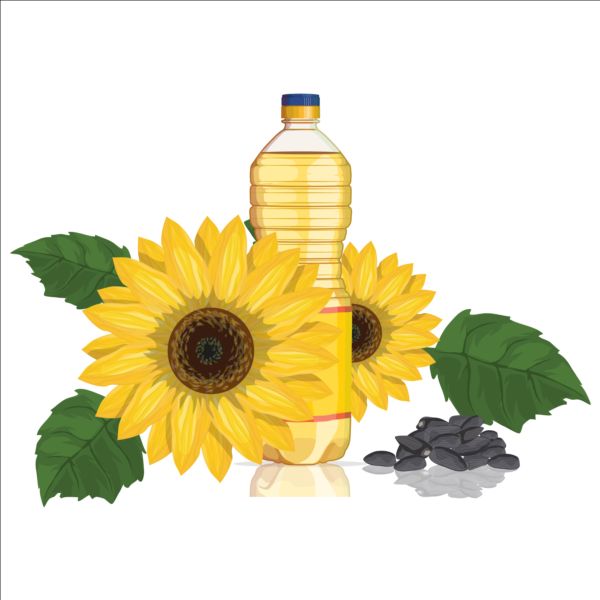Sonnenblumenkerne Öl-Vektormaterial 03 Sonnenblume Samen Öl   