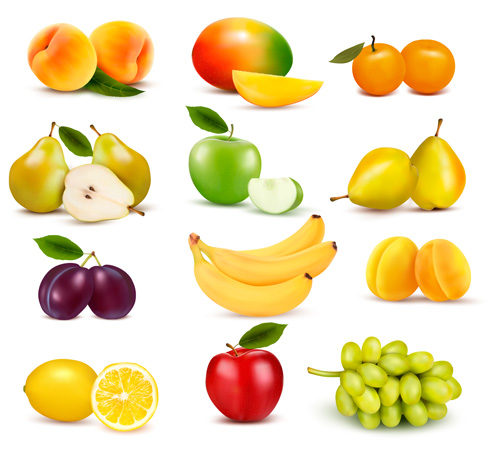 Divers fruits frais Design vectoriel 01 fruits frais divers   