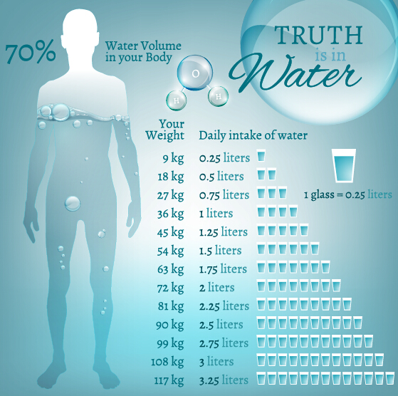 人体の水インフォグラフィックベクター05 身体 水 人間 インフォグラフィック   