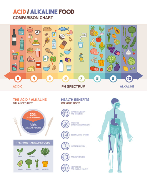 酸性アルカリ性ダイエットインフォグラフィックベクター03 酸性 ダイエット インフォグラフィック アルカリ性   