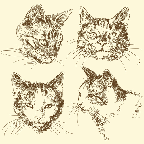 手描き猫ヘッドベクトル材料 頭 手描き 手 ネコ   
