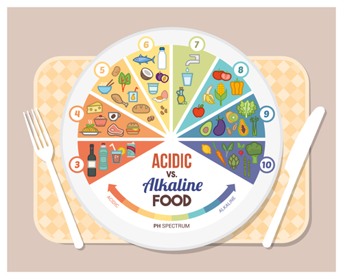 Vecteur d’infographie d’alimentation alcaline acide 02 infographie alimentation alcaline Acide   