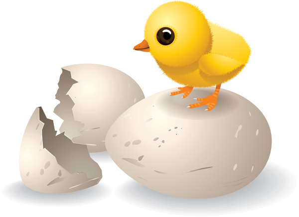 壊れた卵と漫画の鶏ベクトル03 鶏 漫画 壊れた 卵   