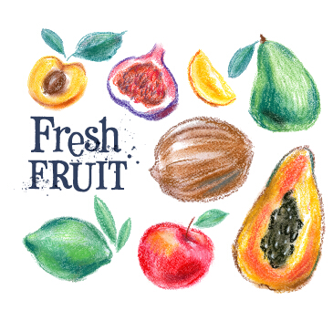 色付きの描画された果物ベクター素材03 着色 果物 描画   