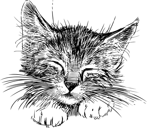Hand zeichnen schwarze Kätzchen Vektor 03 Zeichnung Schwarz Kätzchen Handzeichnung   