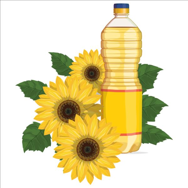 Sonnenblumenkernöl Vektormaterial 02 Sonnenblume Samen Öl   