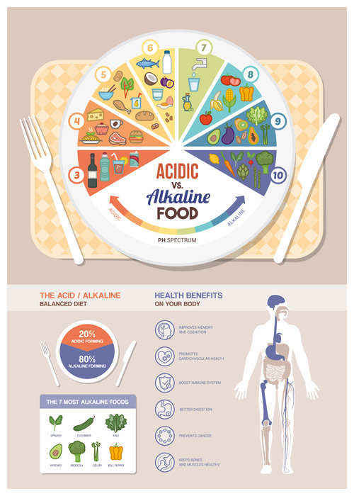 Säure alkalische Diät Infografie-Vektor 01 Infografik Diät alkaline Acidic   