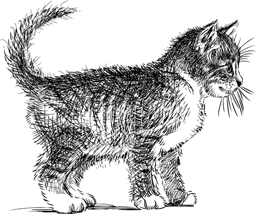 Hand zeichnet schwarze Kätzchen Vektor 02 Zeichnung Kätzchen Handzeichnung   