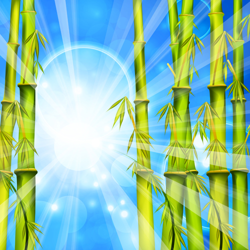 Glänzender Springbrat Bambusvektor-Hintergrundmaterial 03 Vector-Hintergrundmaterial spring shiny Hintergrundmaterial Bambus   