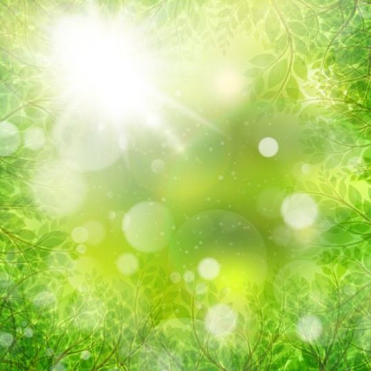 Feuilles vertes d’été avec le vecteur de fond de lumière du soleil 10 vert lumière du soleil fond feuilles été   
