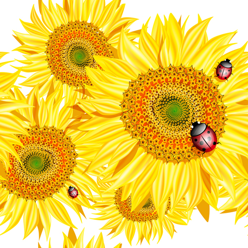 Sonnenblumen mit Ladybird Vektor Vektor Sonnenblume ladybird free design Blume   
