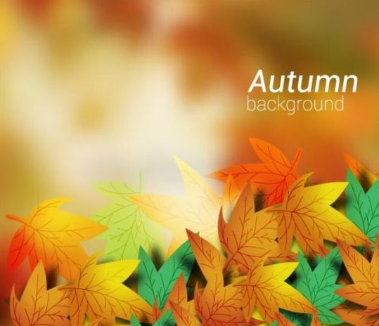Farbige Herbstblätter mit verschwommenem Hintergrundvektor 06 verschwommen Hintergrund Herbst gefärbt Blätter   