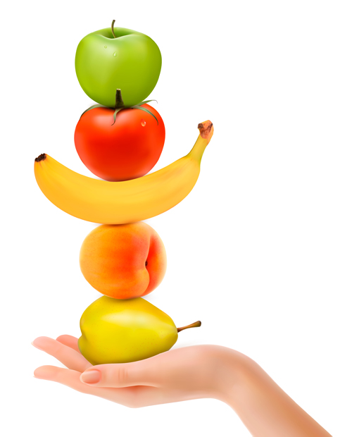 Verschiedene Früchte mit Handvektor Obst hand different   